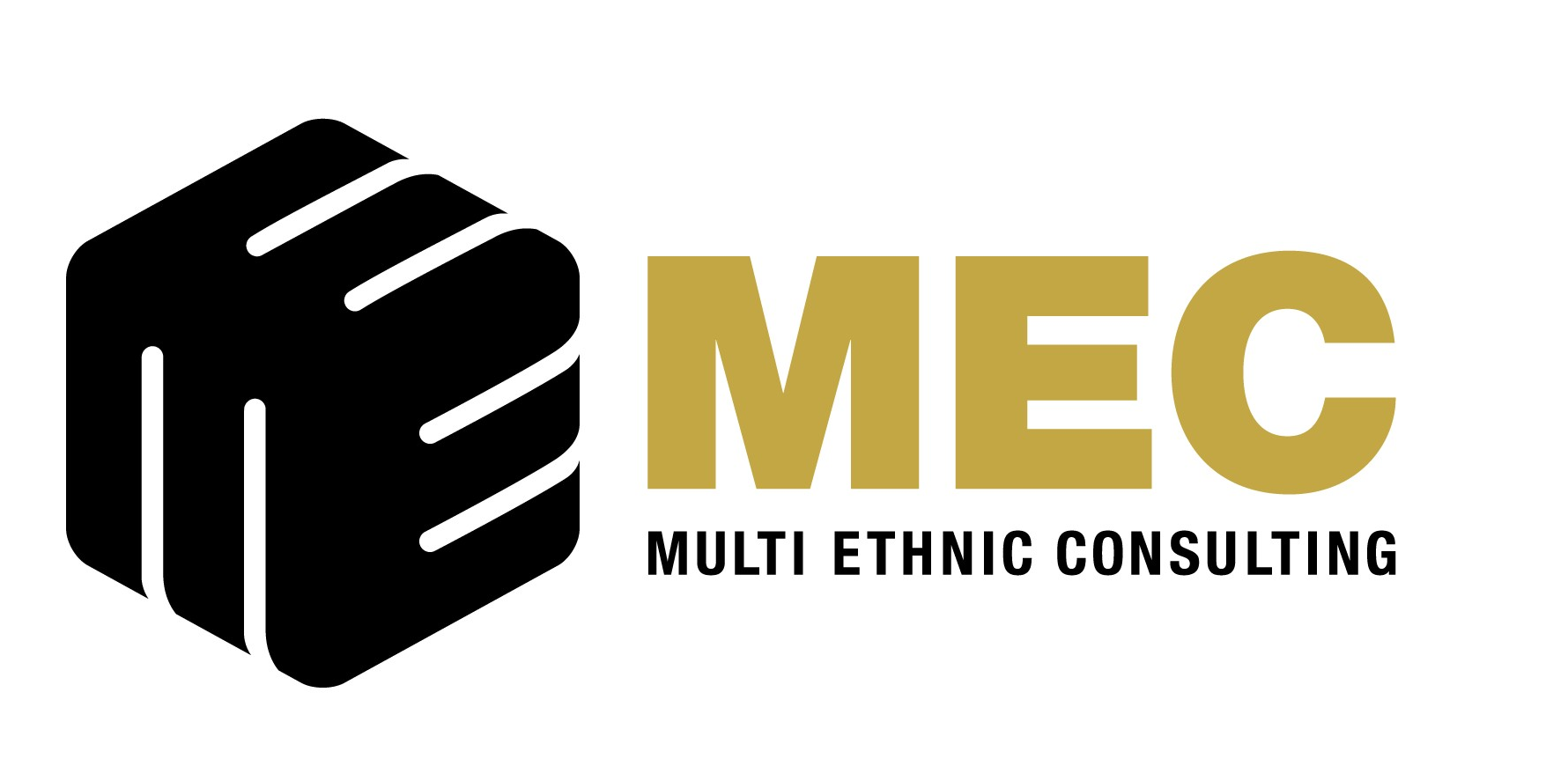 Multi Ethnic Consulting AB